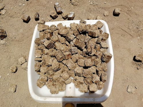 【西安秸秆压块燃料价格-专注能源行业】- 