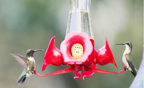 亚马逊销量悬崖式下降 20天销售2万件,冷门类产品也有大市场