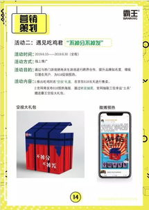 京东校园电商营销 门类销售全面爆破的实战策略